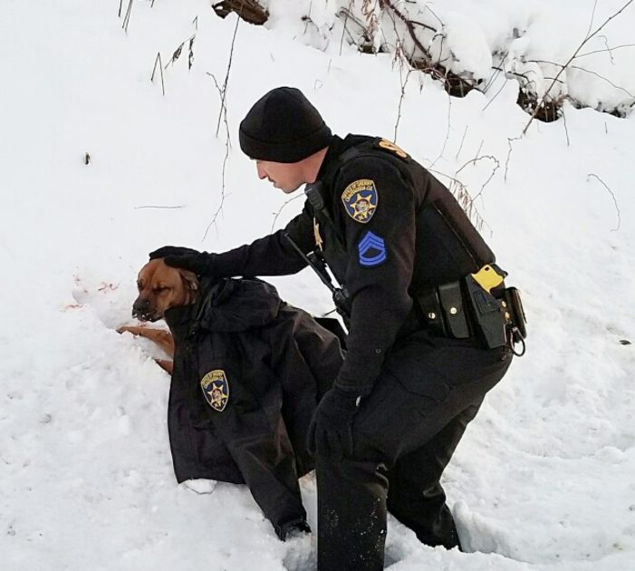 Police Officer Gives Injured Dog The Jacket Off His Own Back To Help Comfort  And Keep Her Warm - Dog Dispatch