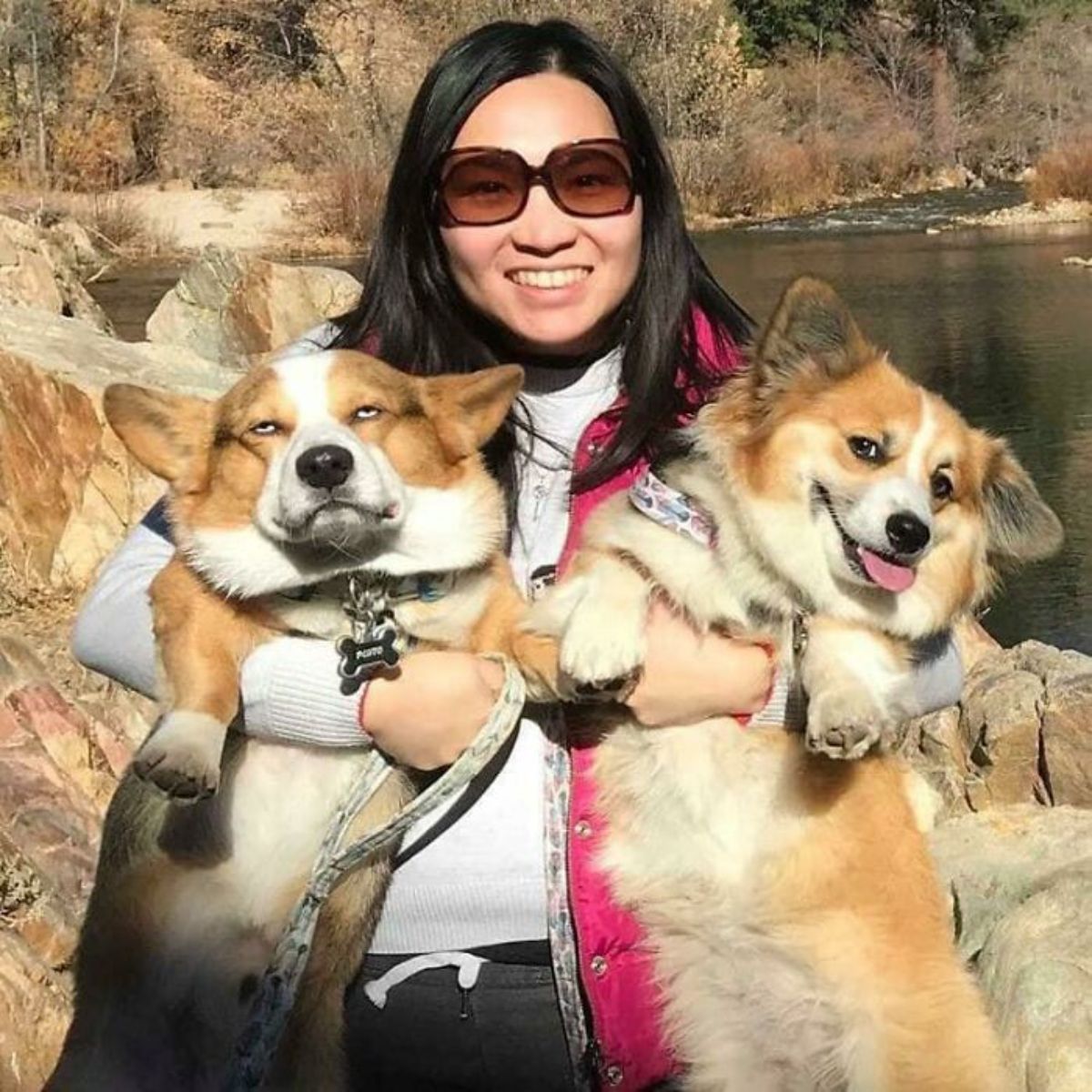 2 brown and white corgis being held by a woman near a river