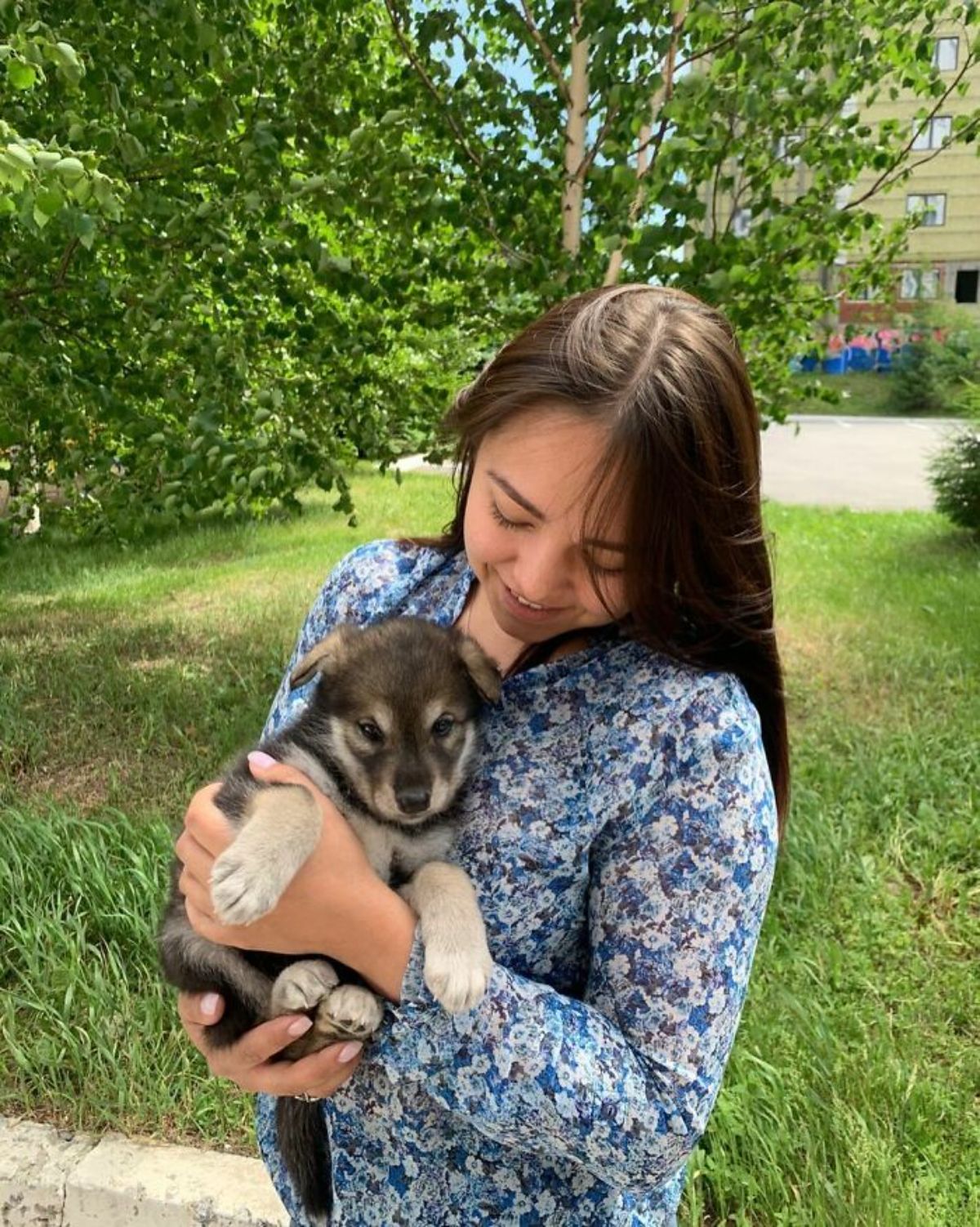 wolf cub being held by a woman wearing blue in a garden