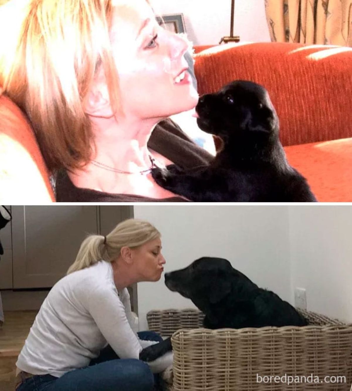 2 photos of a woman kissing a black dog