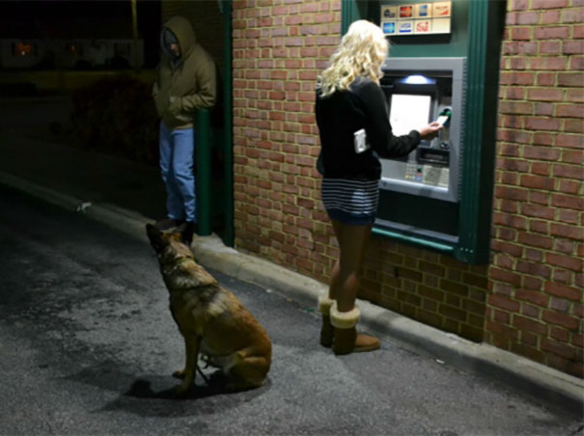 a german shepherd with a woman at a grey atm at night with a man in the shadows nearby