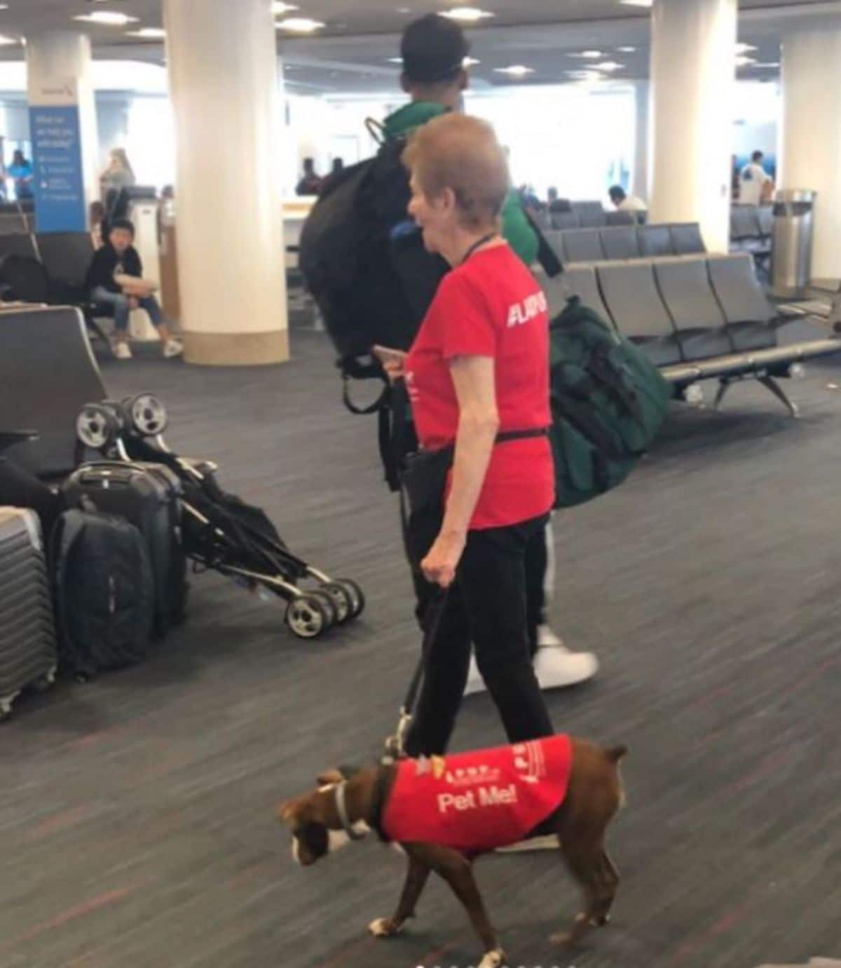 a brown dog is in a red vest next to a woman in a red shirt at an airport