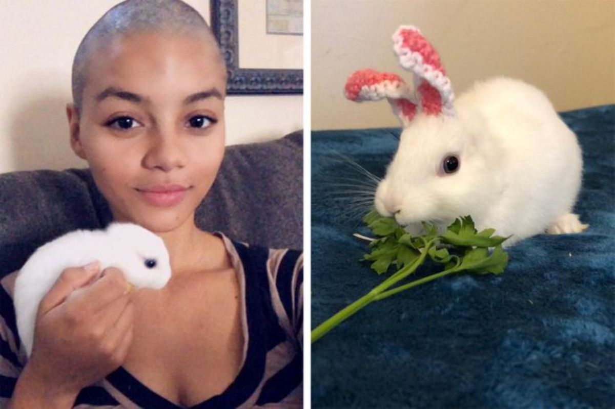 2 photos of a bald woman with a rabbit with no ears and another of a small white rabbit with red and white crochet ears