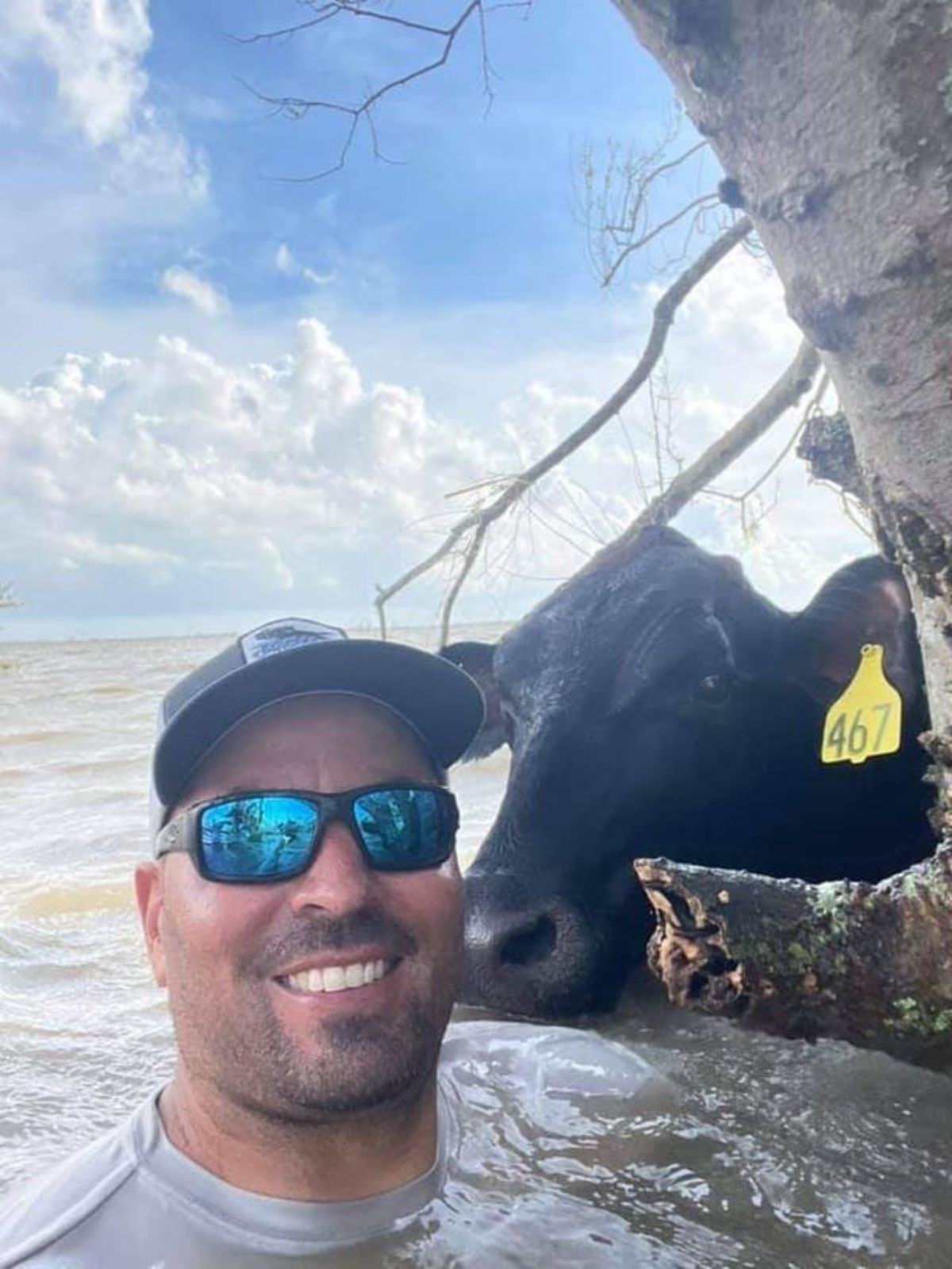 a man and a black cow standing in water