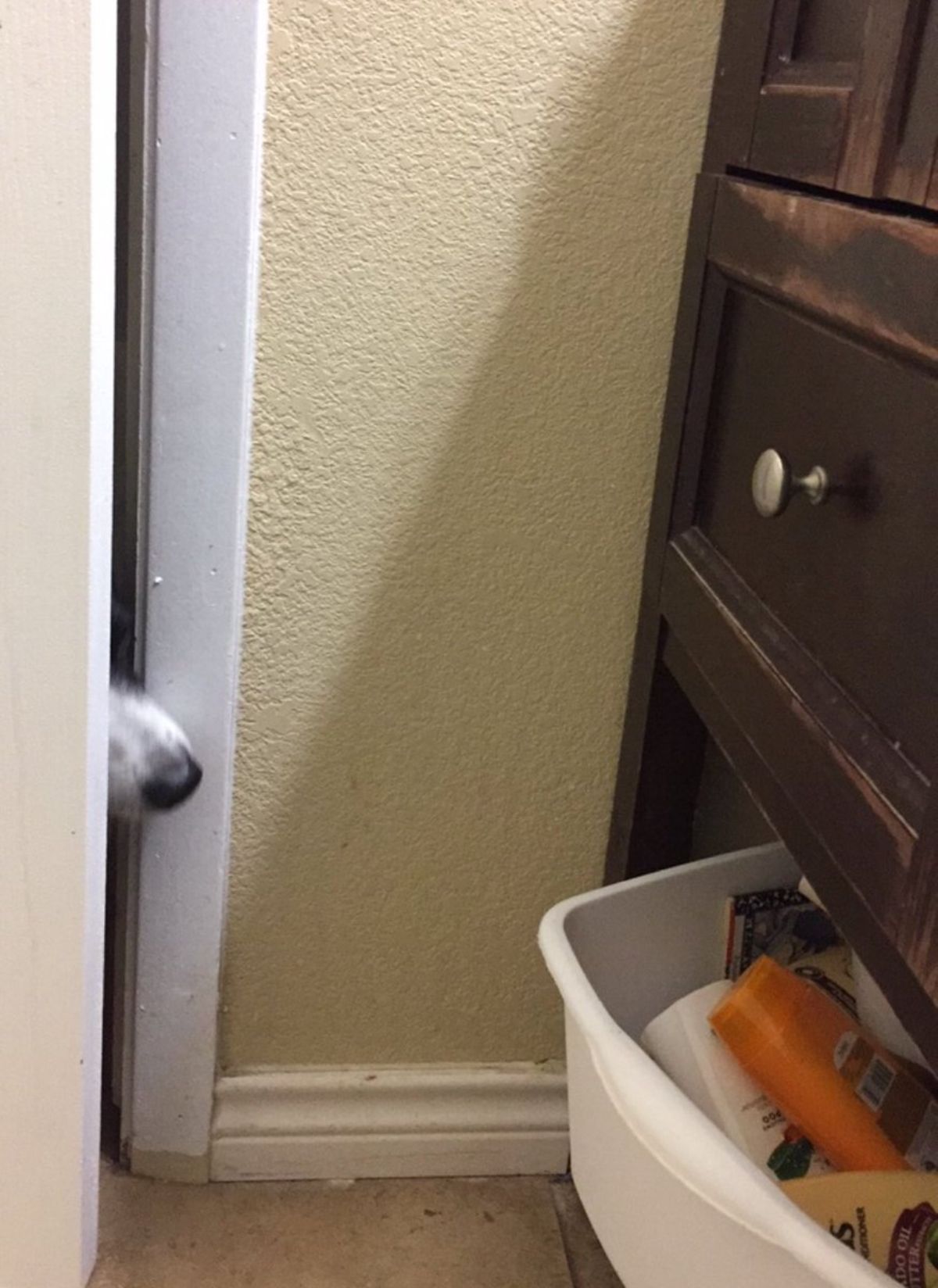 a dog nose sticking into the room behind a door