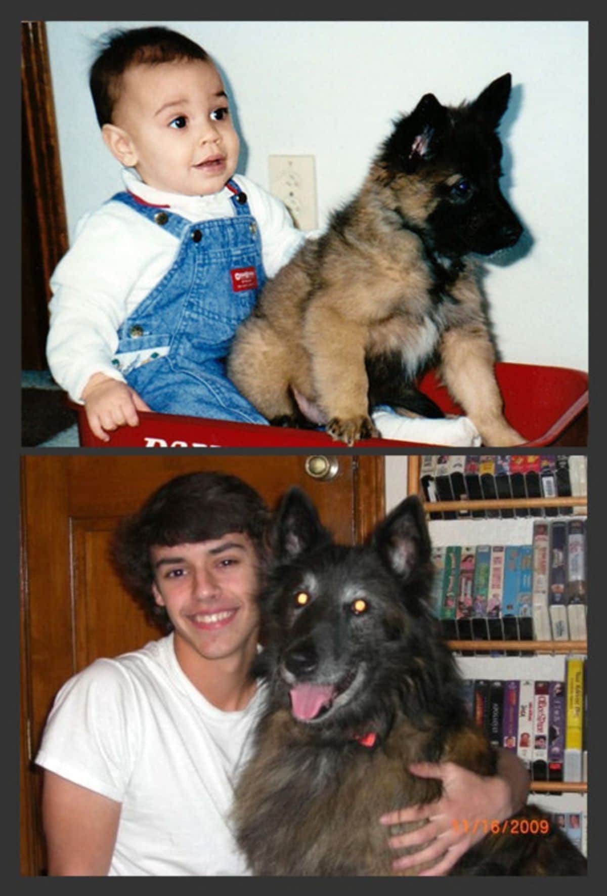 baby and boy with brown and black fluffy dog
