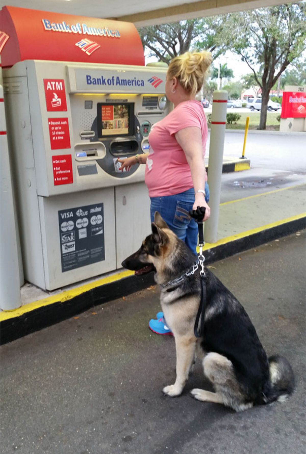 a german shepherd with a woman at a grey atm