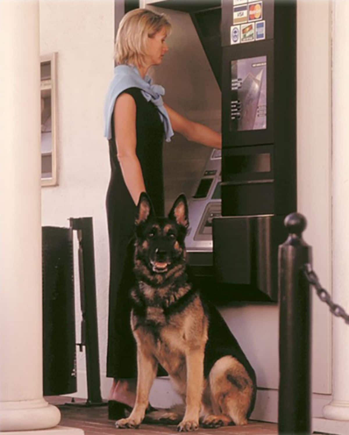 a german shepherd with a woman at a black atm