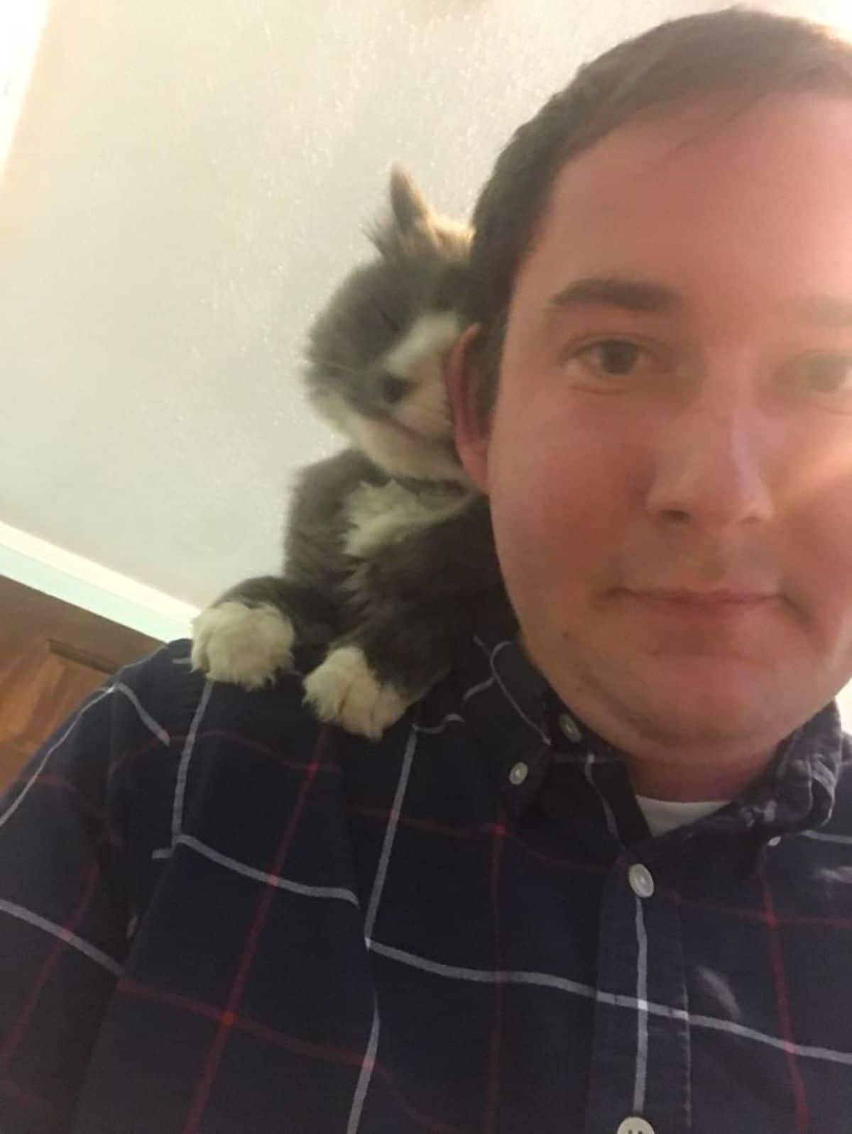 grey and white cat sitting on someone's shoulder