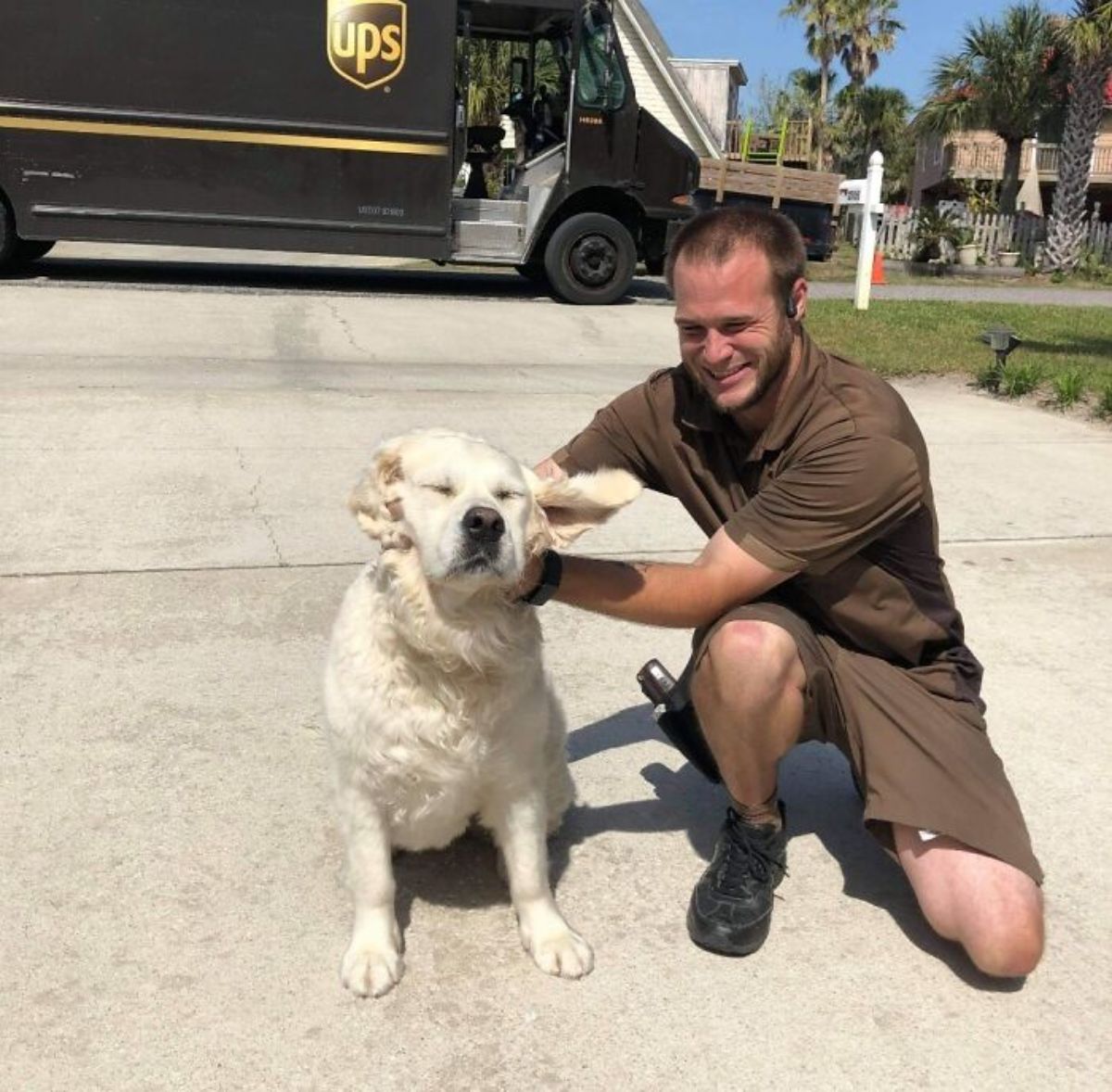 male ups driver kneeling on the ground and petting a labrador retriever