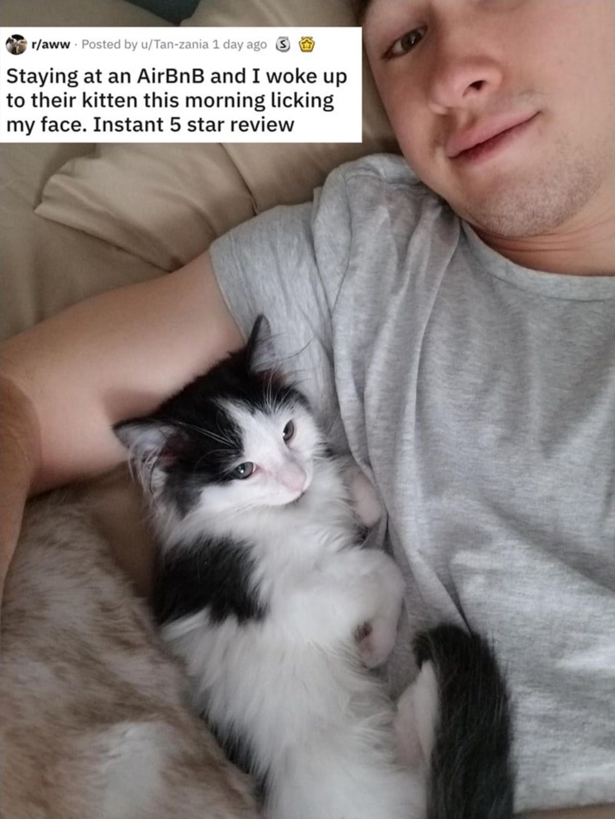 man in bed with black and white kitten