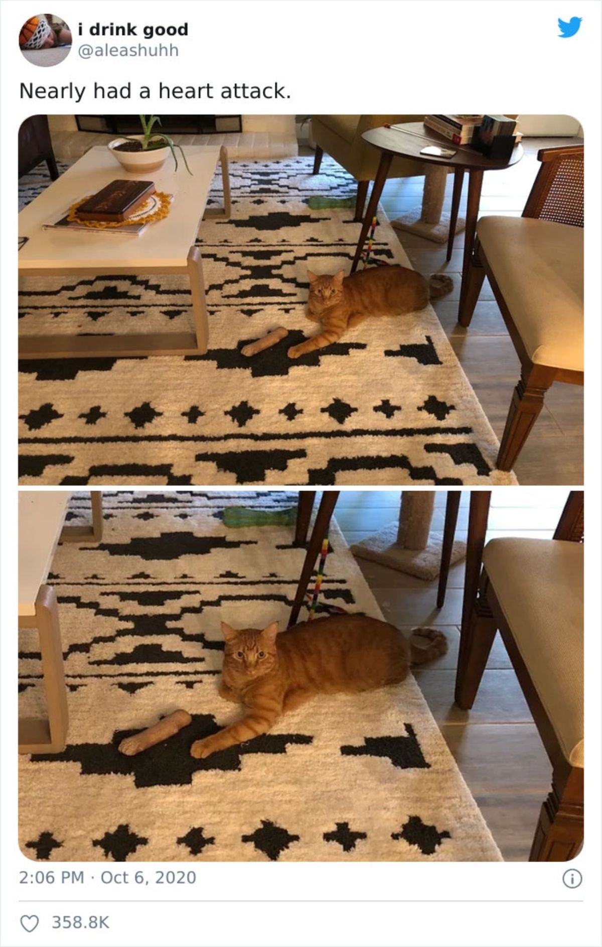 2 photos of an orange on a black and white rug looking like its leg is sawed off