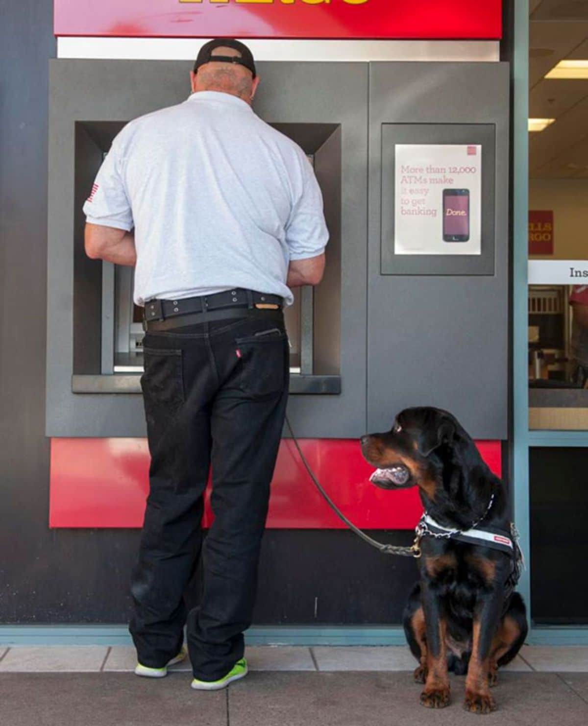 a rottweiler with a man at a grey and red atm