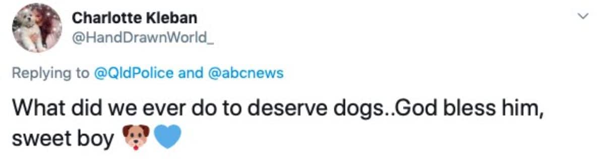 tweet by charlotte kleban @handdrawnworld saying what did we ever do to deserve dogs. god bless him, sweet boy