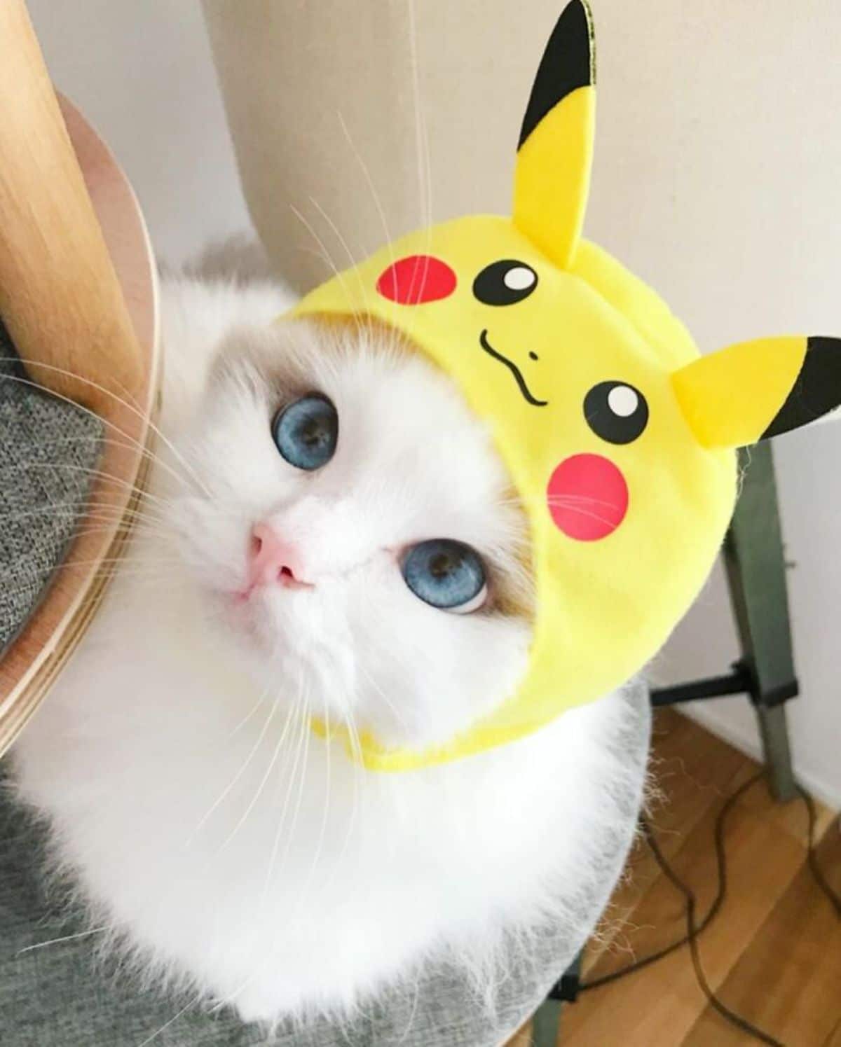 white cat wearing a yellow pikachu hat