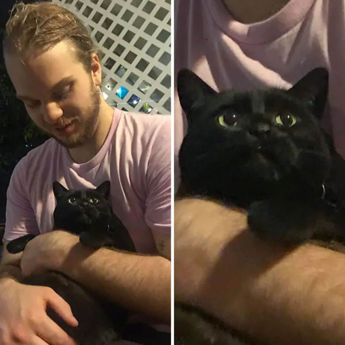 2 photos of a black cat being held by a man