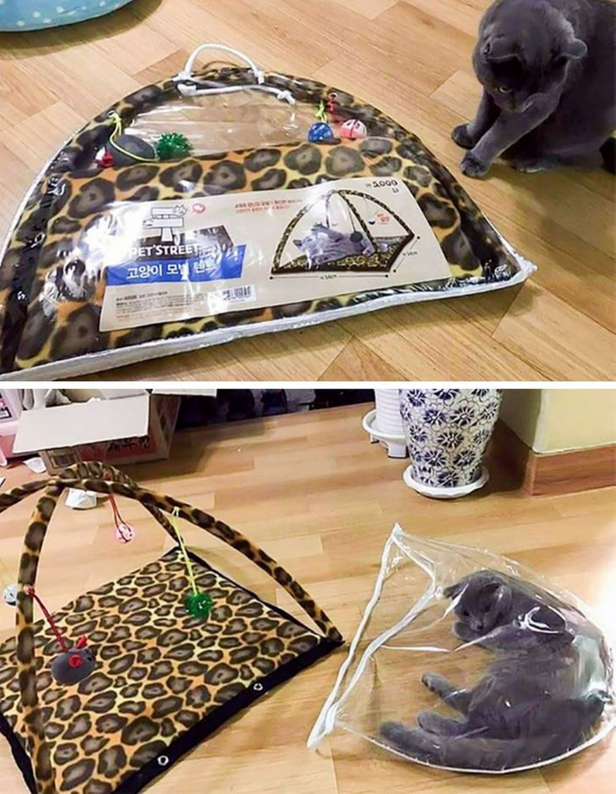 2 photos of a grey cat with a cat tent toy and in the second the cat is laying inside the plastic packaging of the toy