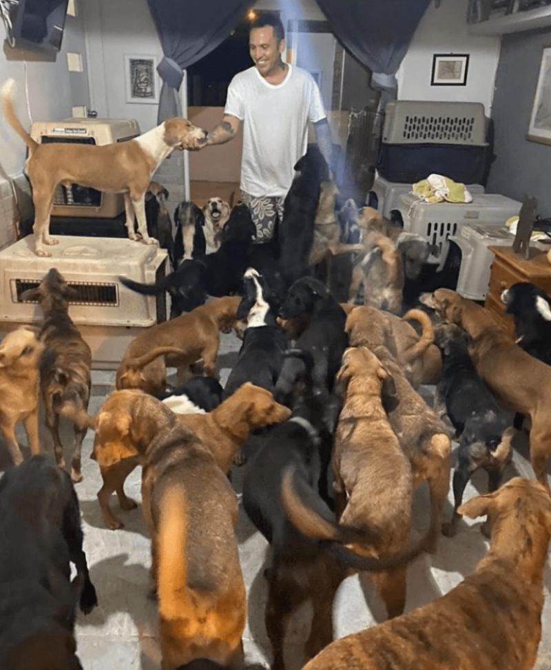 Man saves 300 shelter dogs 2