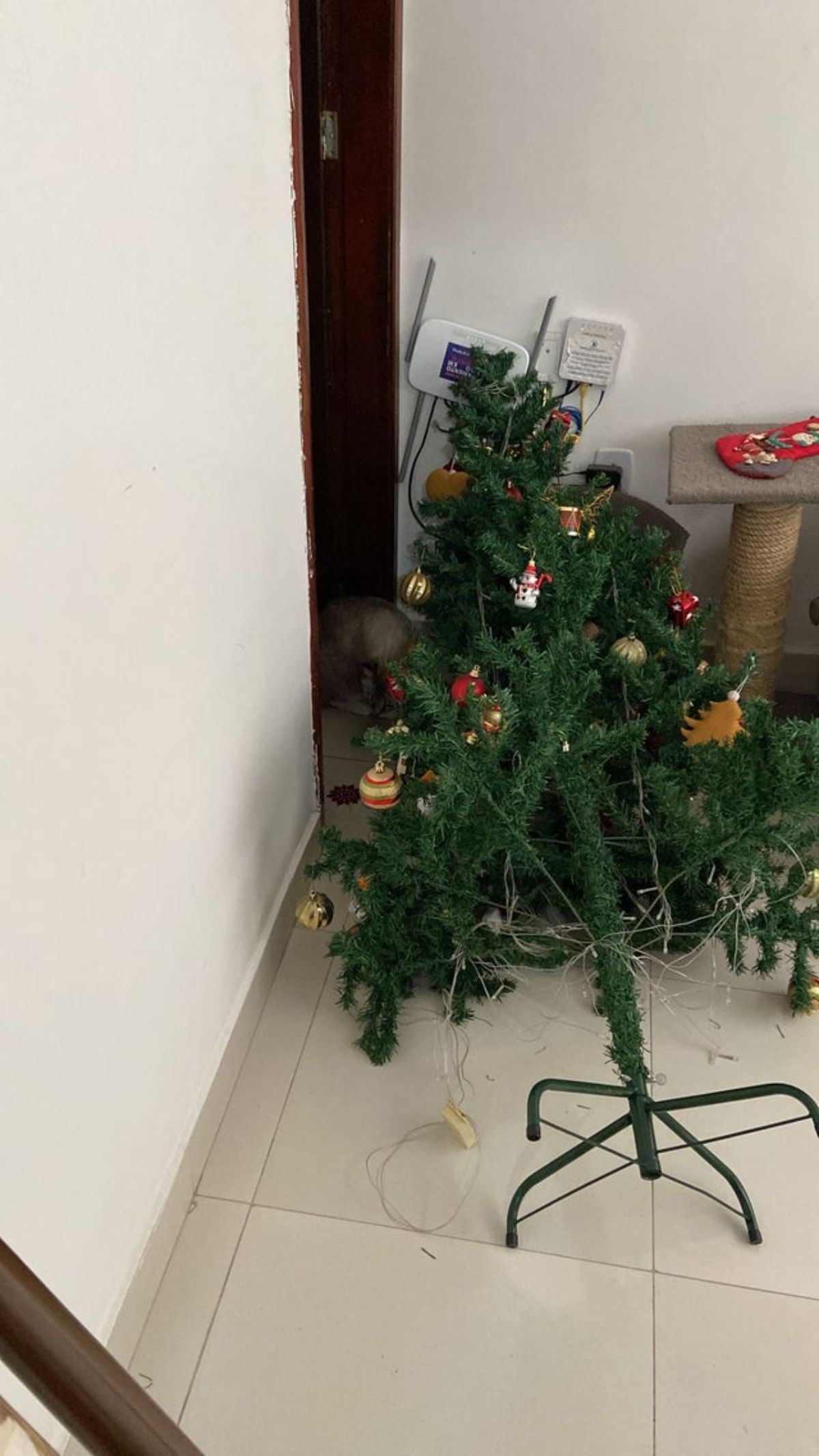 a fallen over christmas tree