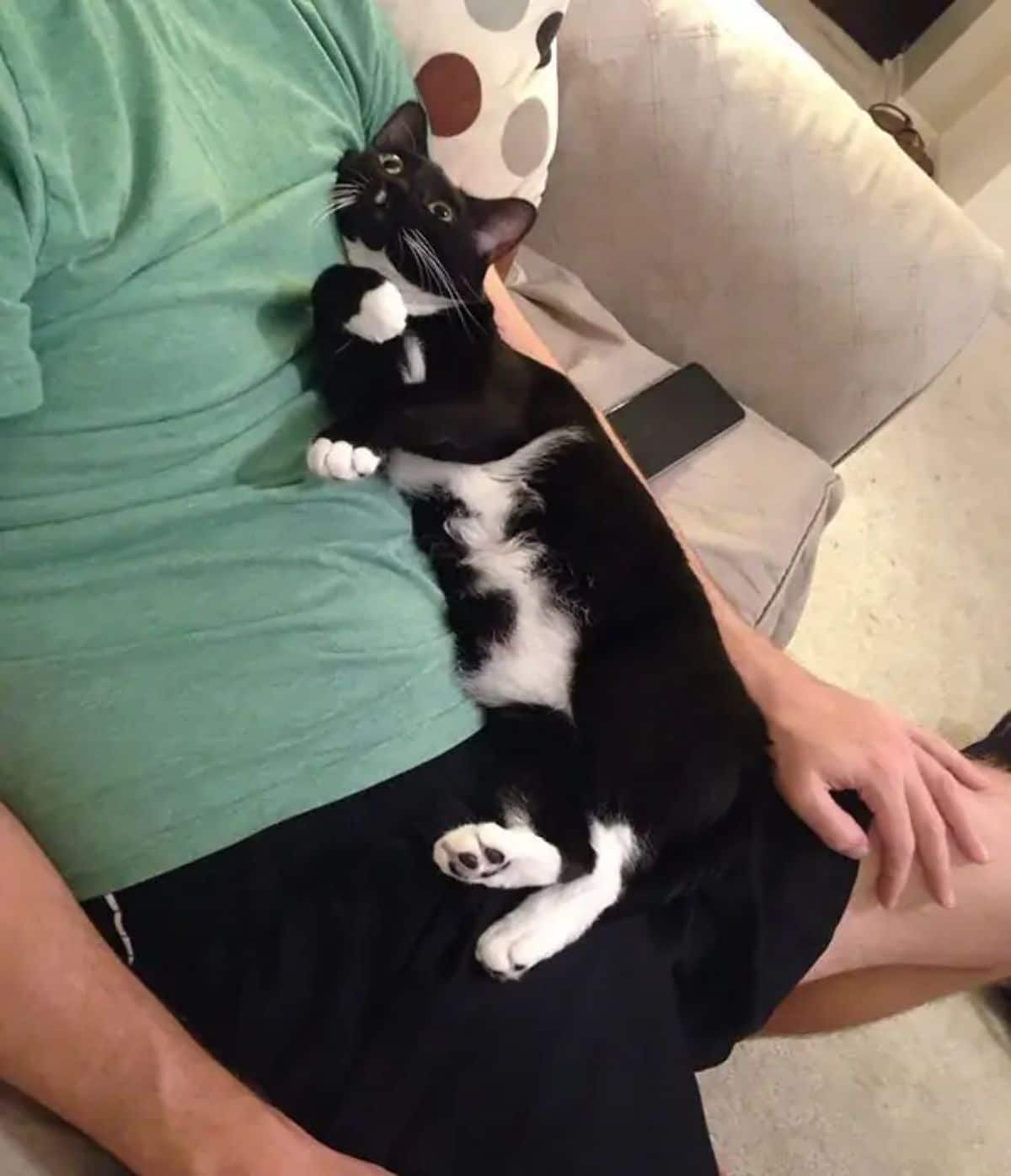 black and white cat laying on someone