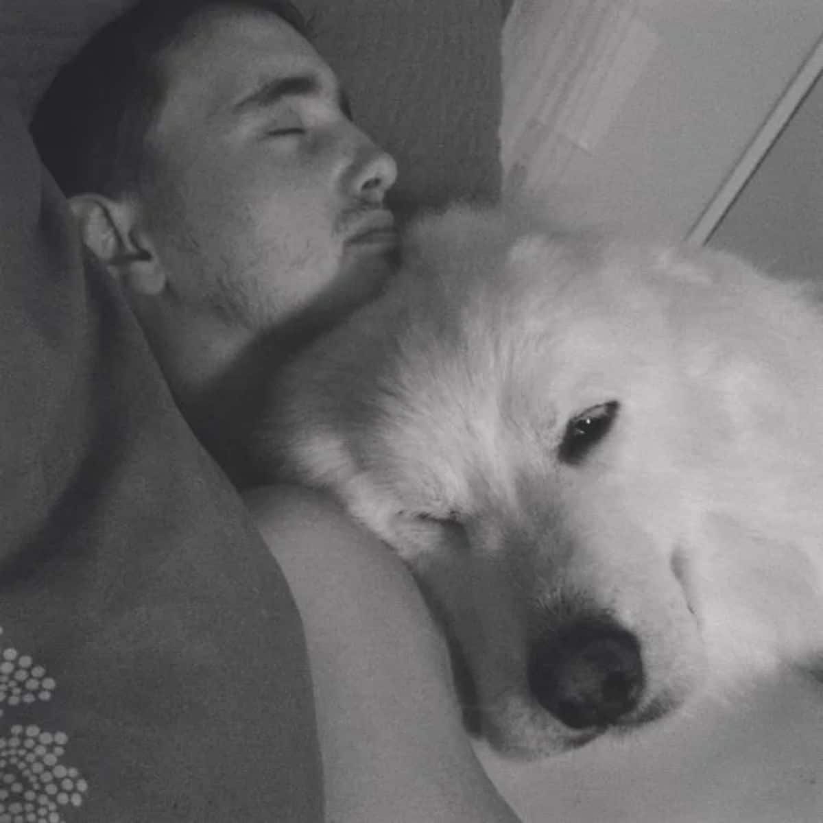 black and white photo of a white fluffy dog sleeping on a man's chest