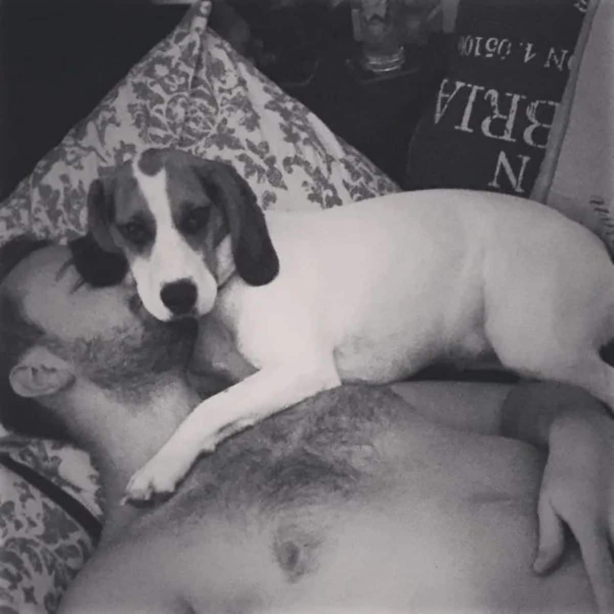 black and white photo of dog laying on a man in bed
