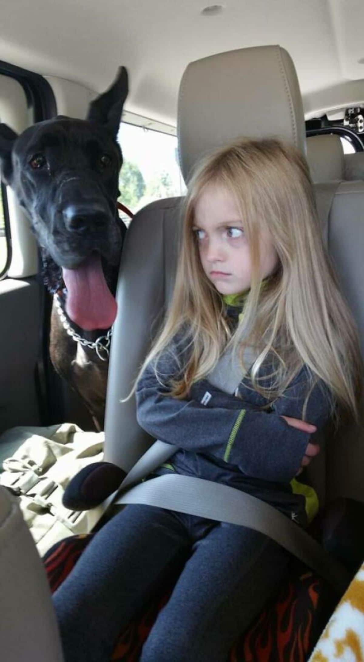 black dog with the tongue sticking out next to an angry girl inside a car