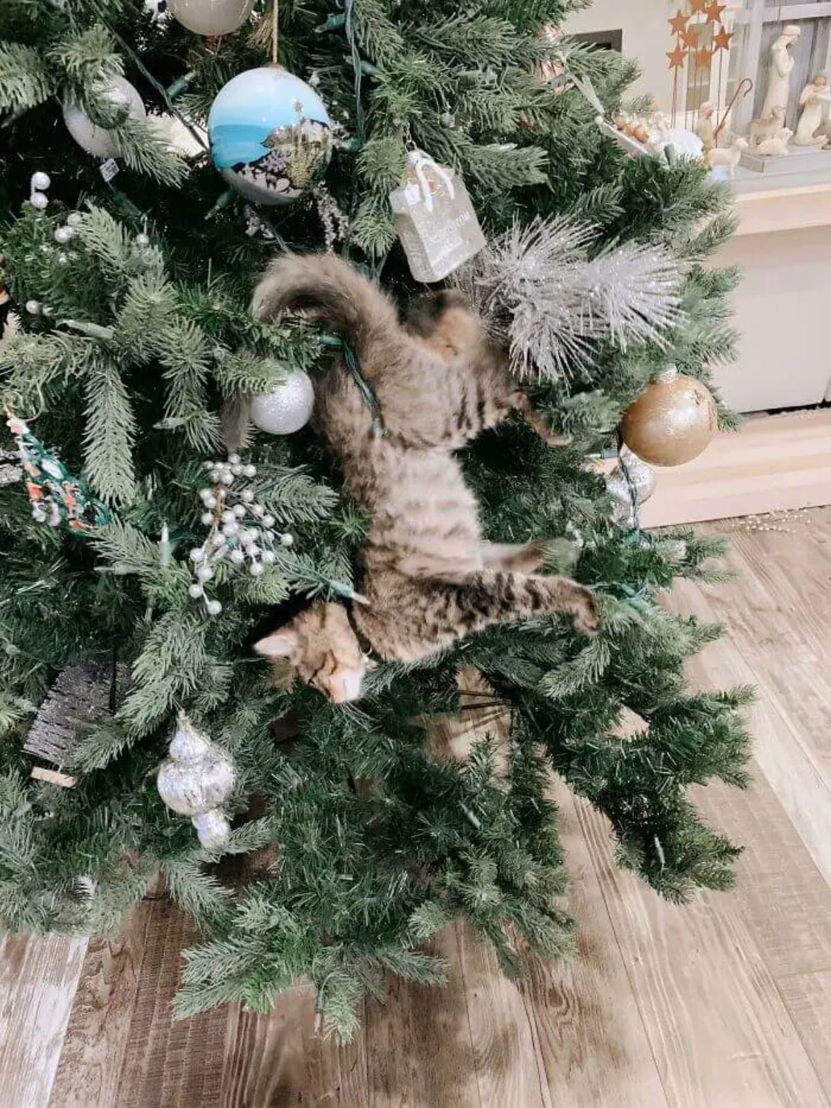 brown and black tabby kitten stuck in a christmas tree