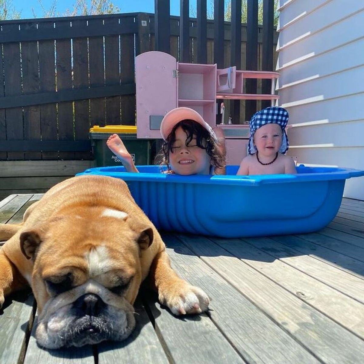 brown and white bulldog laying on the floor with a little girl and a baby sitting in blue kiddie pool