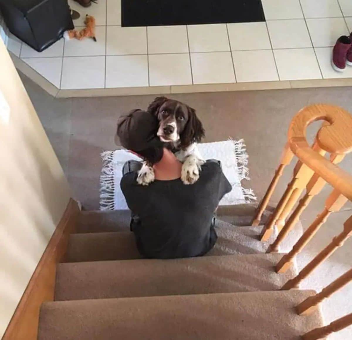 brown and white dog getting hugged by a man sitting on a stair