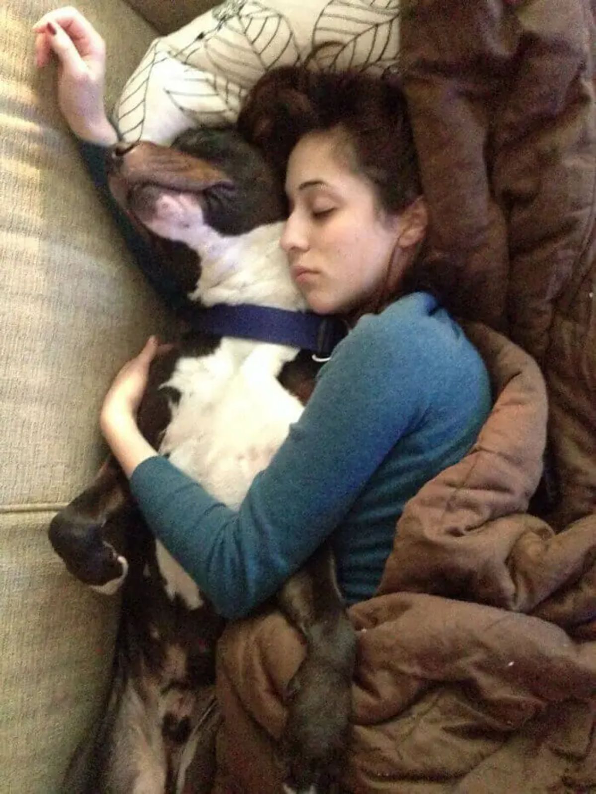 brown and white dog sleeping cuddled up with a woman on a light brown sofa