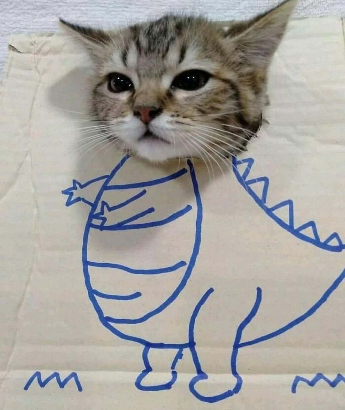 brown and white tabby kitten head poking out of a white cardboard with a blue marker drawing of a dinosaur body under it