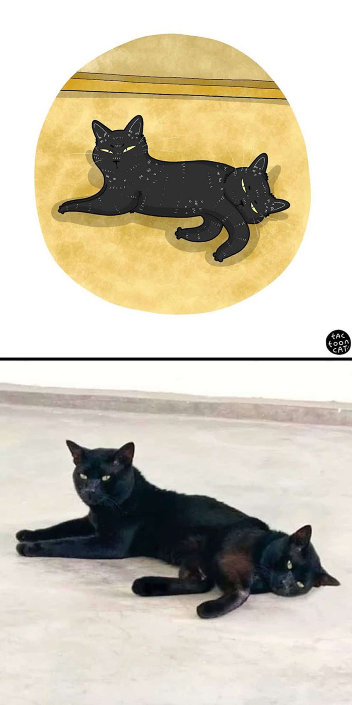 cartoon photo and real photo of 2 black cats laying on the floor together but looking like a cat with two heads on either end