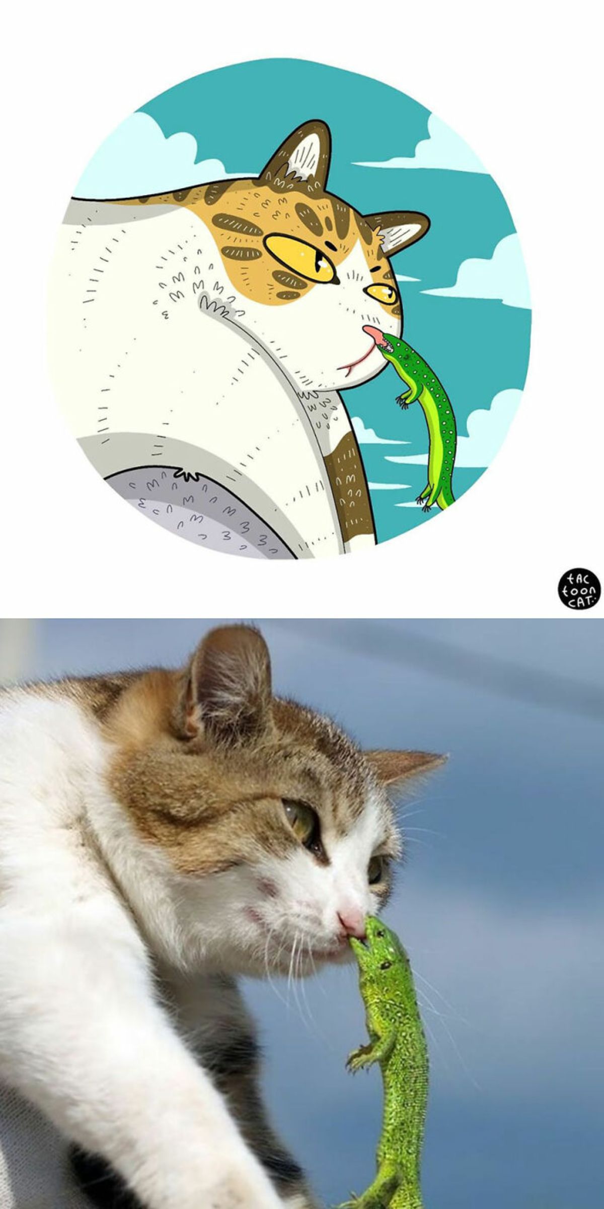 cartoon photo and real photo of a brown and white tabby with a small green lizard hanging off of the cat's mouth
