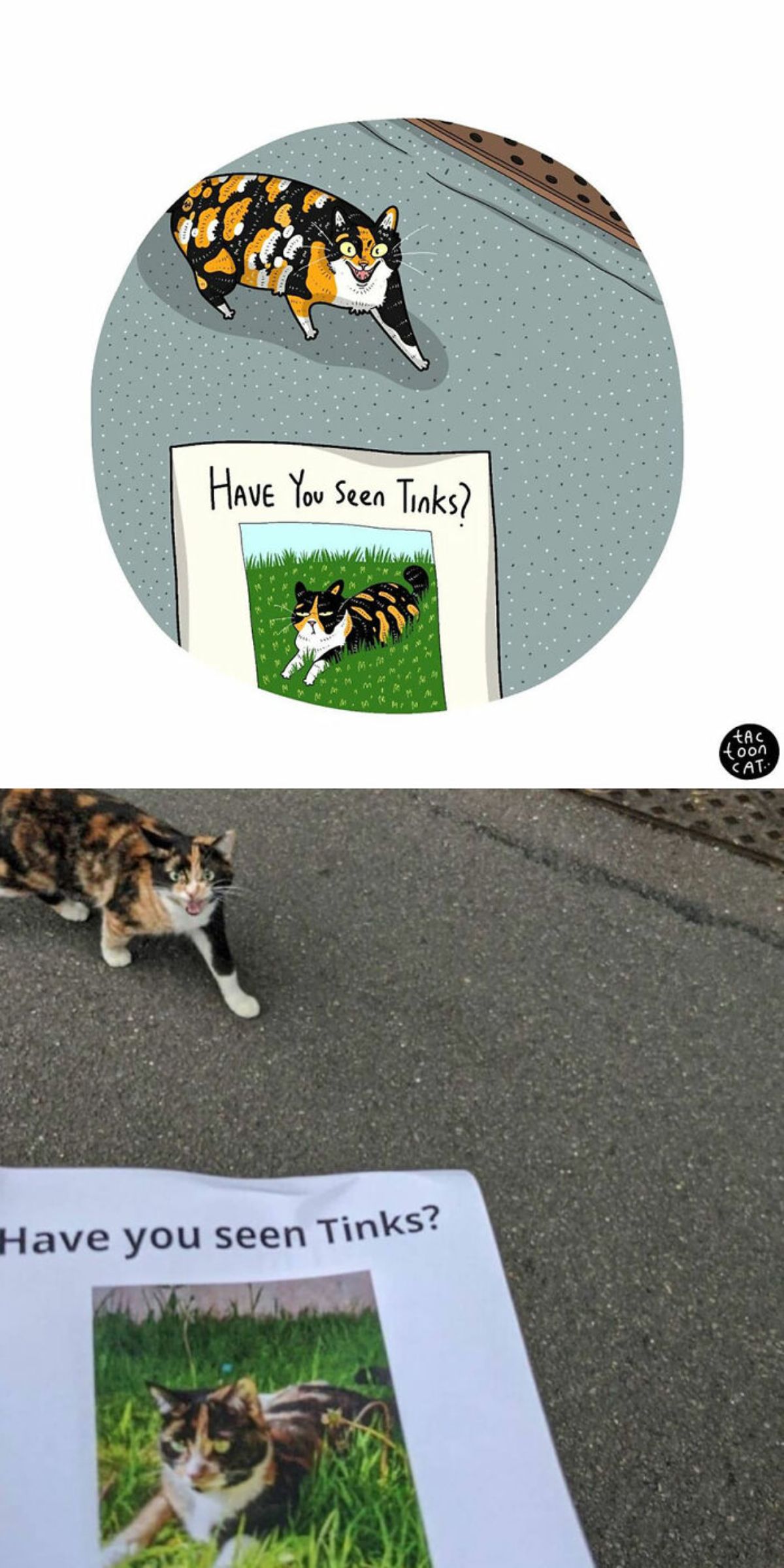 cartoon photo and real photo of a calico cat meowing in front of a poster with the cat's photo saying have you seen tinks