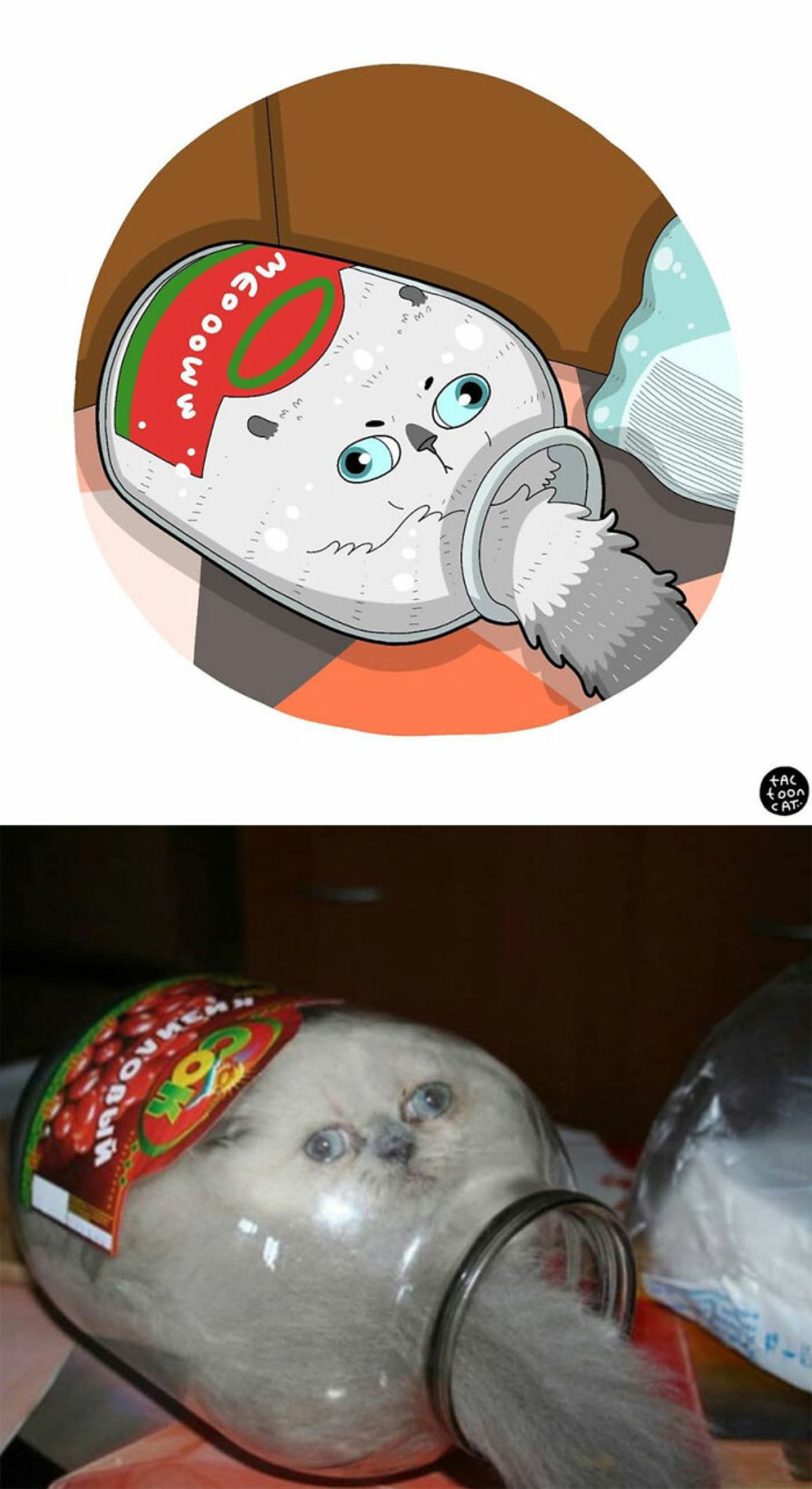 cartoon photo and real photo of a white cat inside a glass jar with the tail spilling out udner the head
