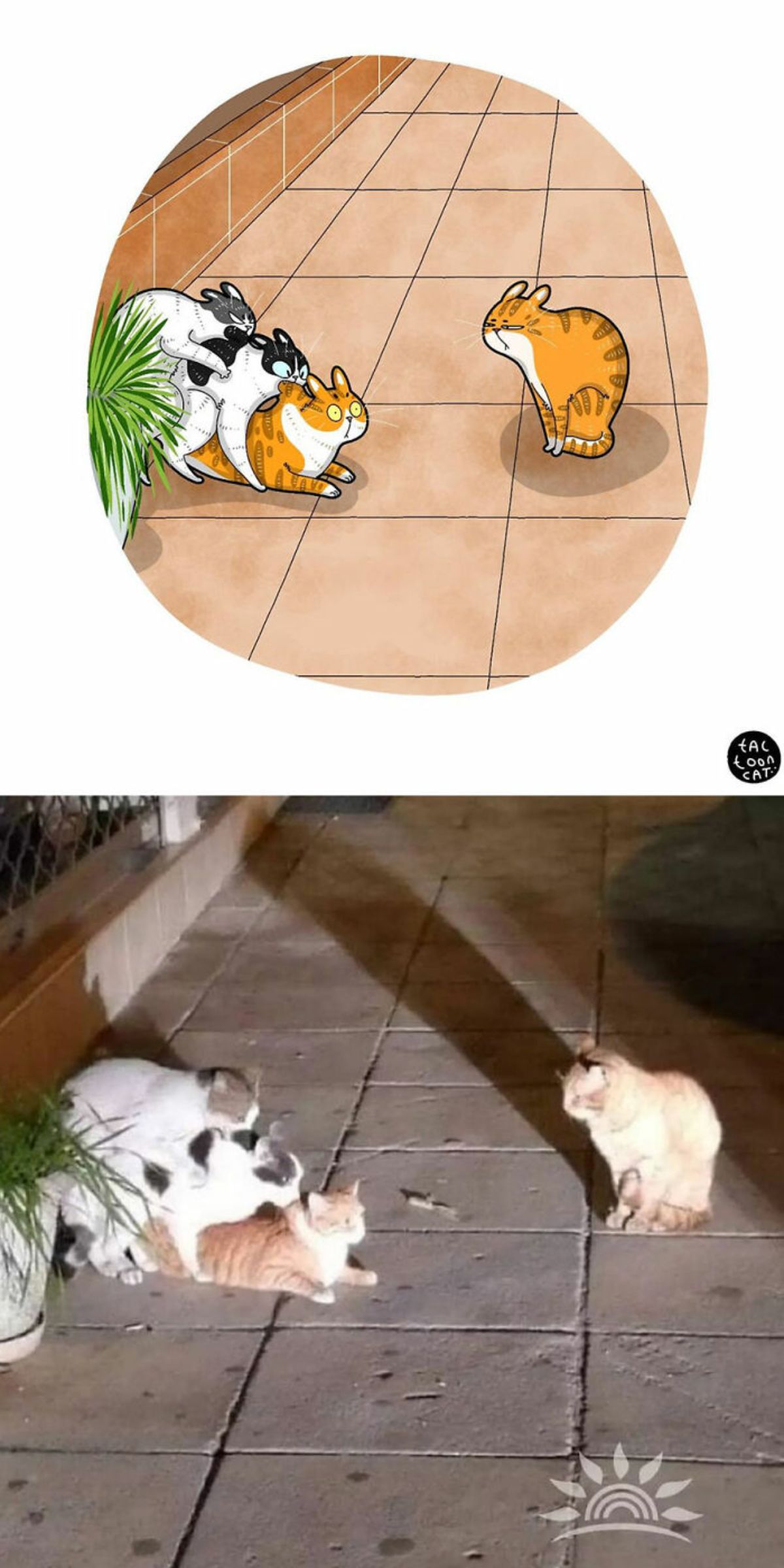 cartoon photo and real photo of an orange and white cat with a black and white cat on it and a grey and white tabby on top of it with an orange cat in front of the 3 cats