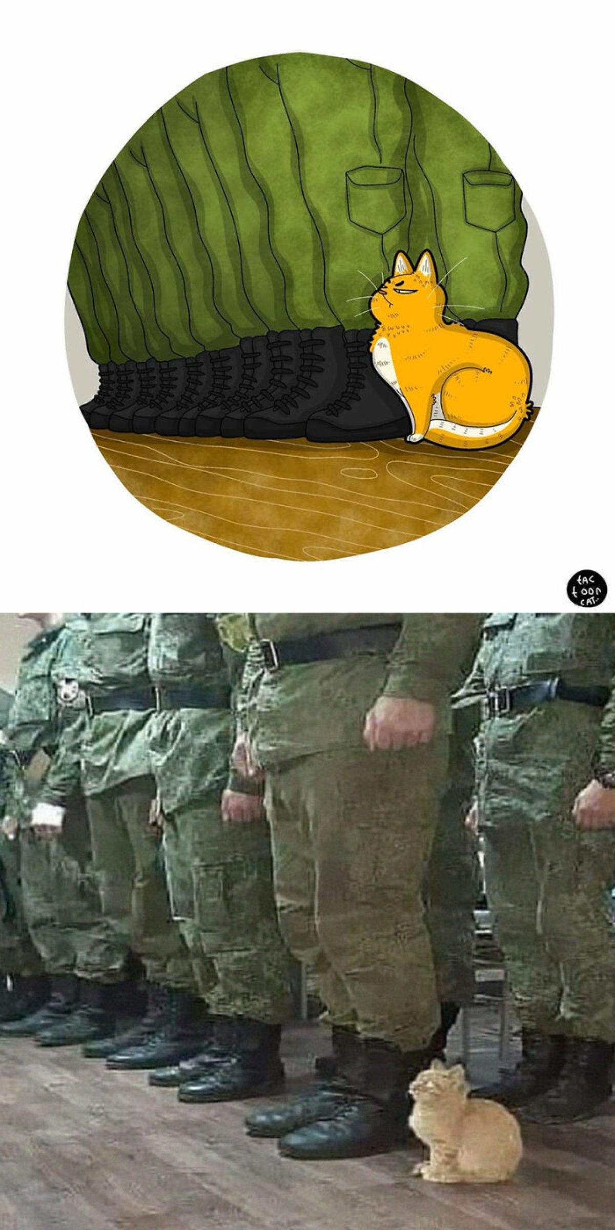 cartoon photo and real photo of an orange cat sitting next to a row of people in military uniform with another row behind them