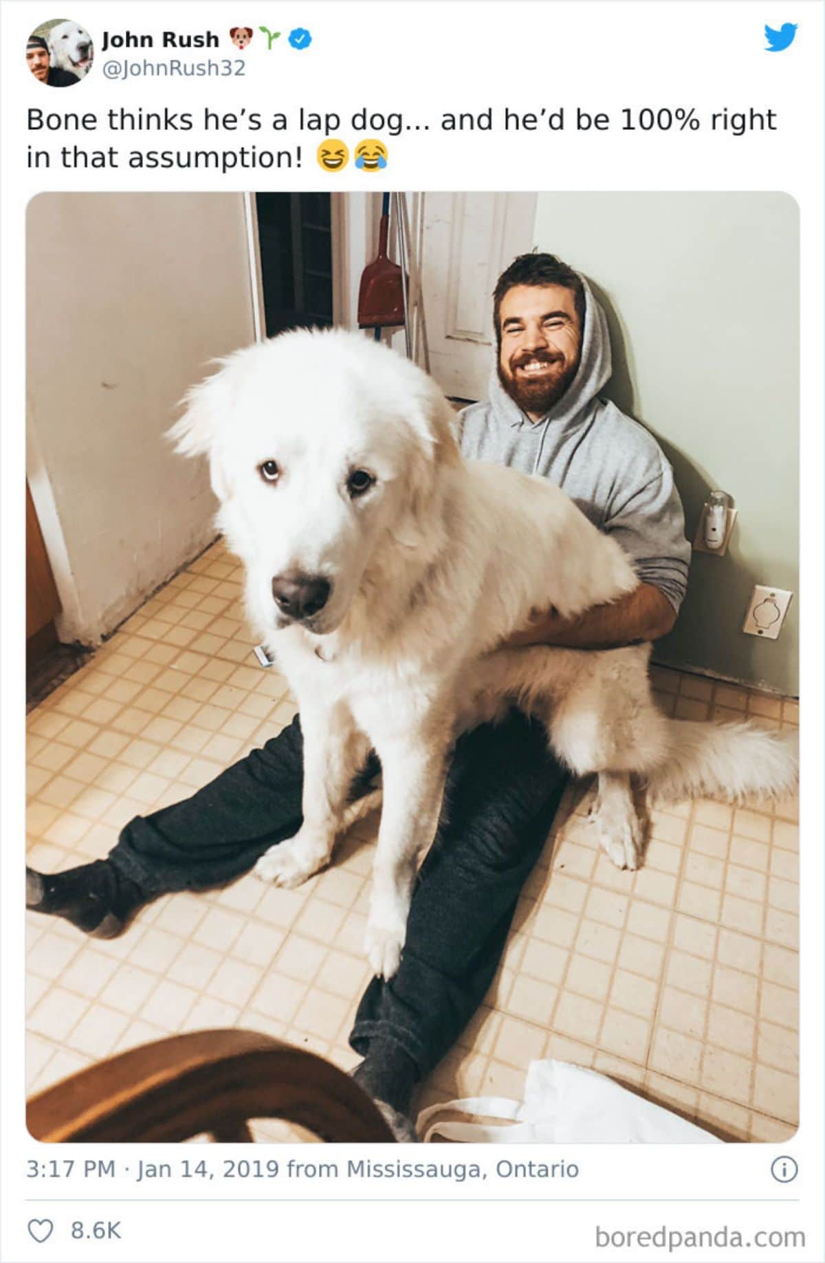 fluffy white dog sitting on a man's lap and the man is sitting on the floor
