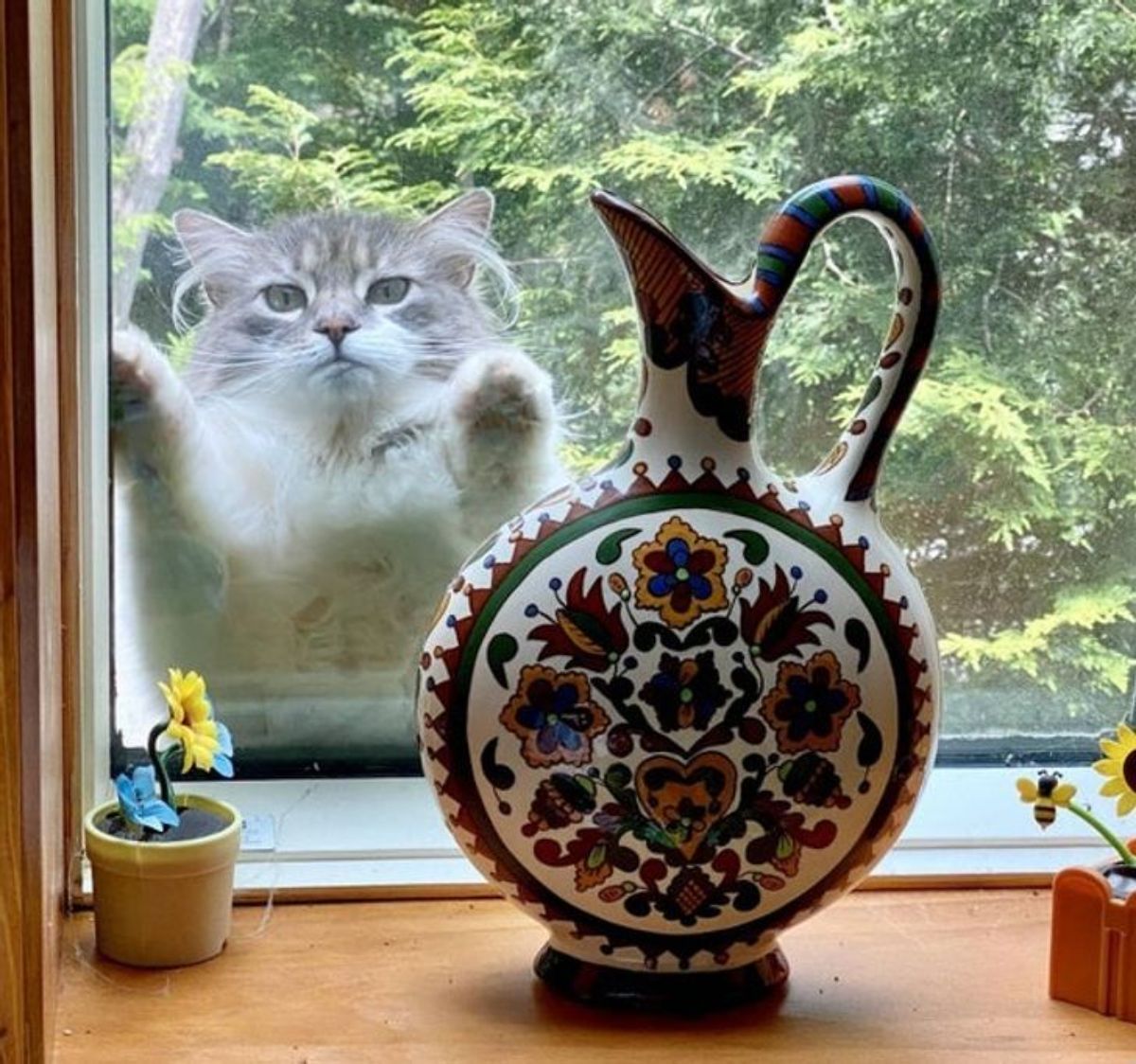 grey and white fluffy cat with front paws on the outside of the glass on the window looking in