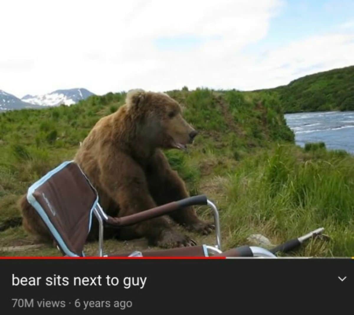 grizzly bear sitting on the ground next to a brown collapsible chair in front of a river
