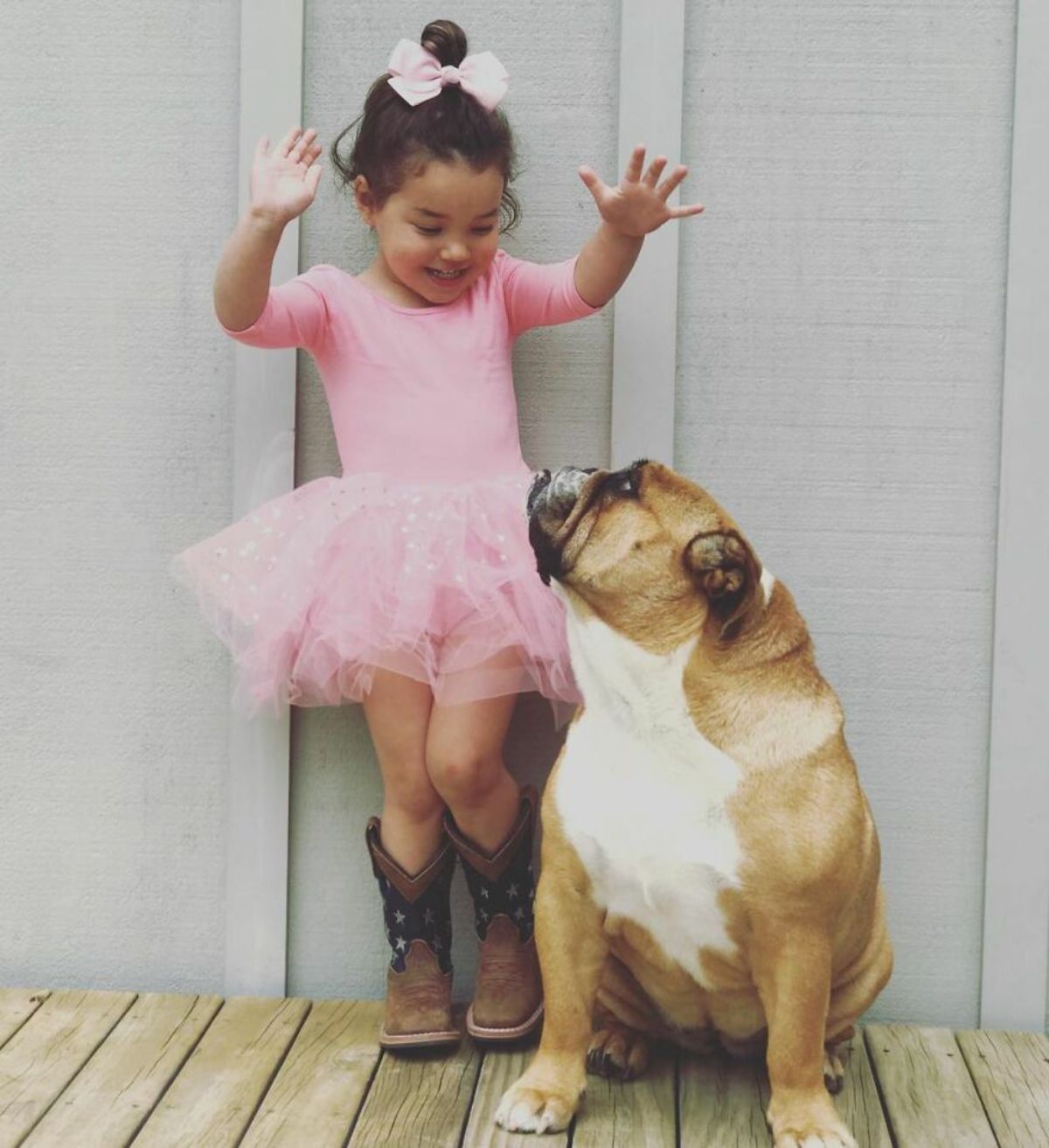 little girl in pink next to a brown and white bulldog