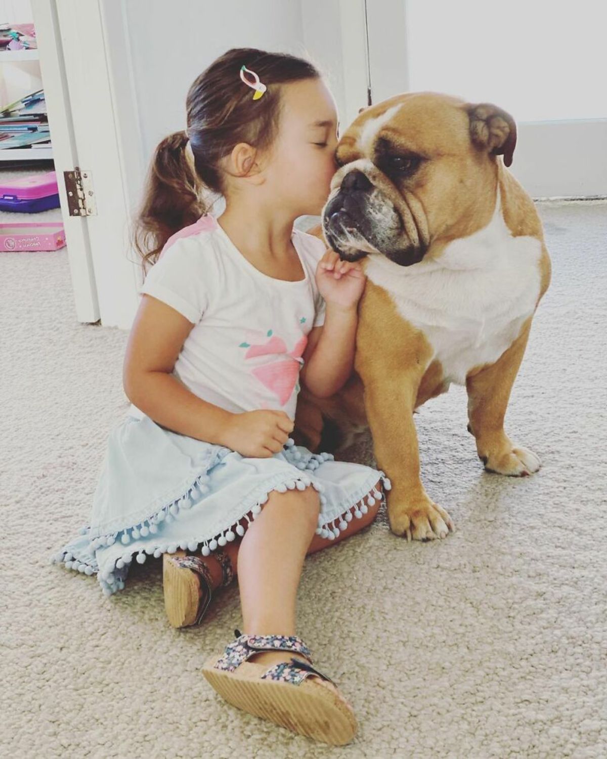 little girl sitting on the floor kissing a brown and white bulldog