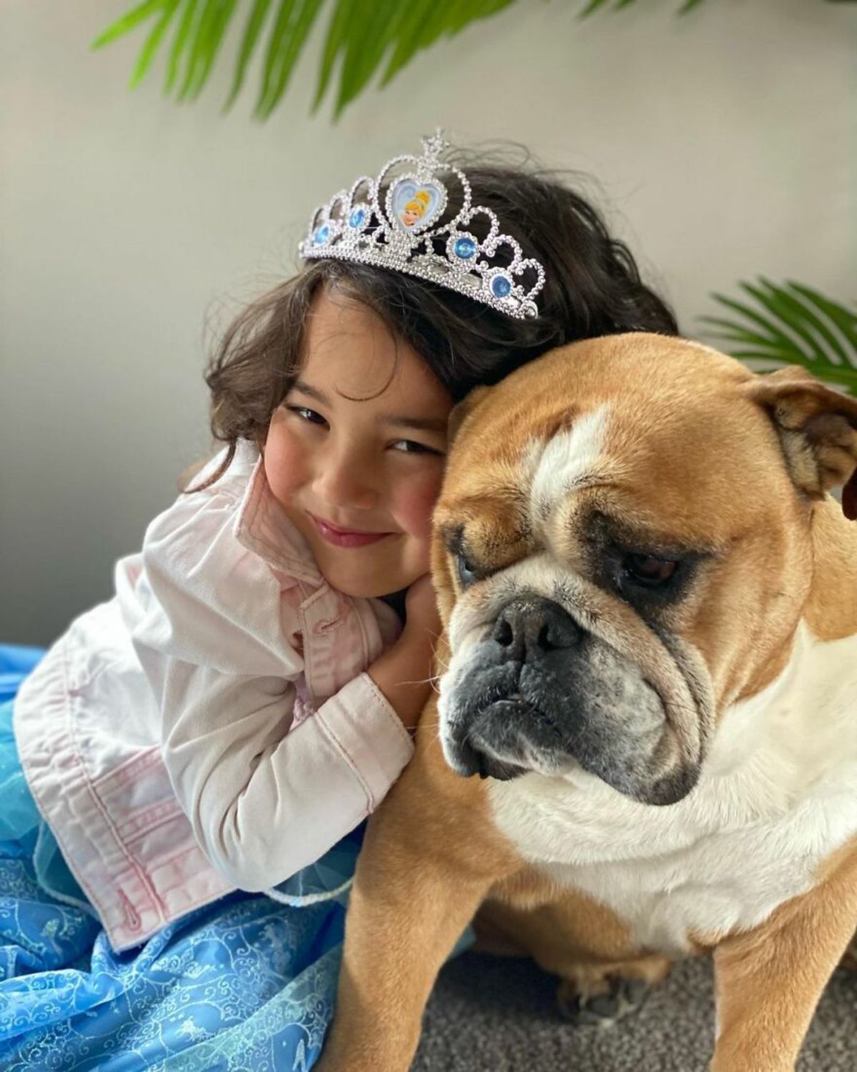 little girl wearing a tiara hugging a brown and white bulldog