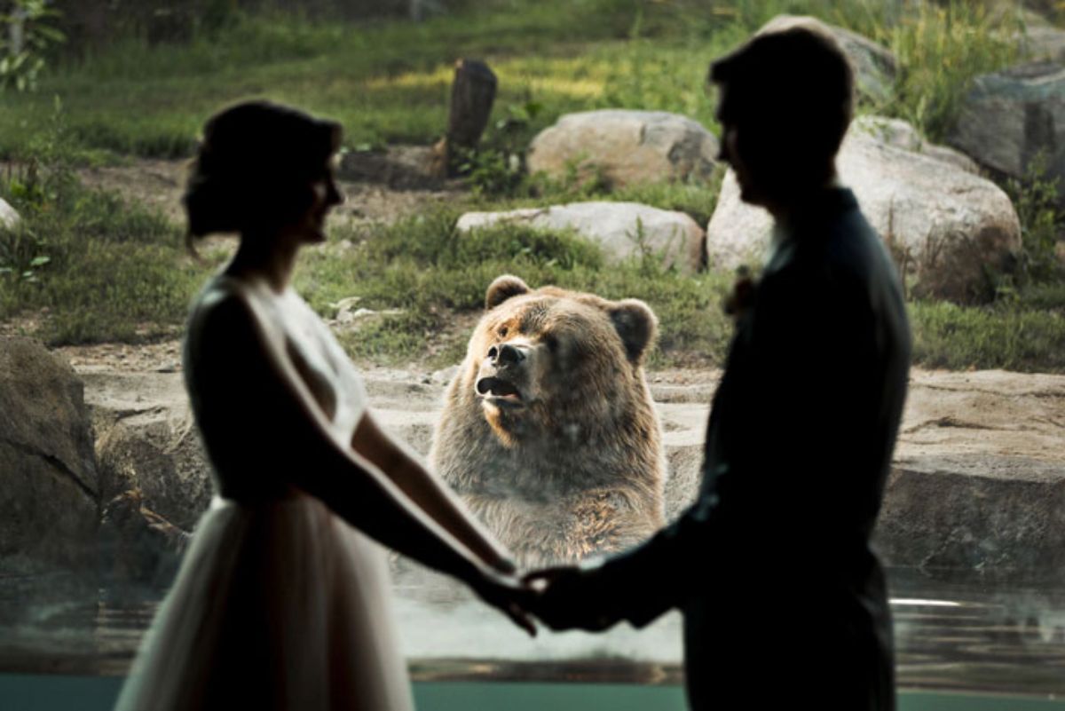 wedding couple holding hands with a bear in the middle looking confused