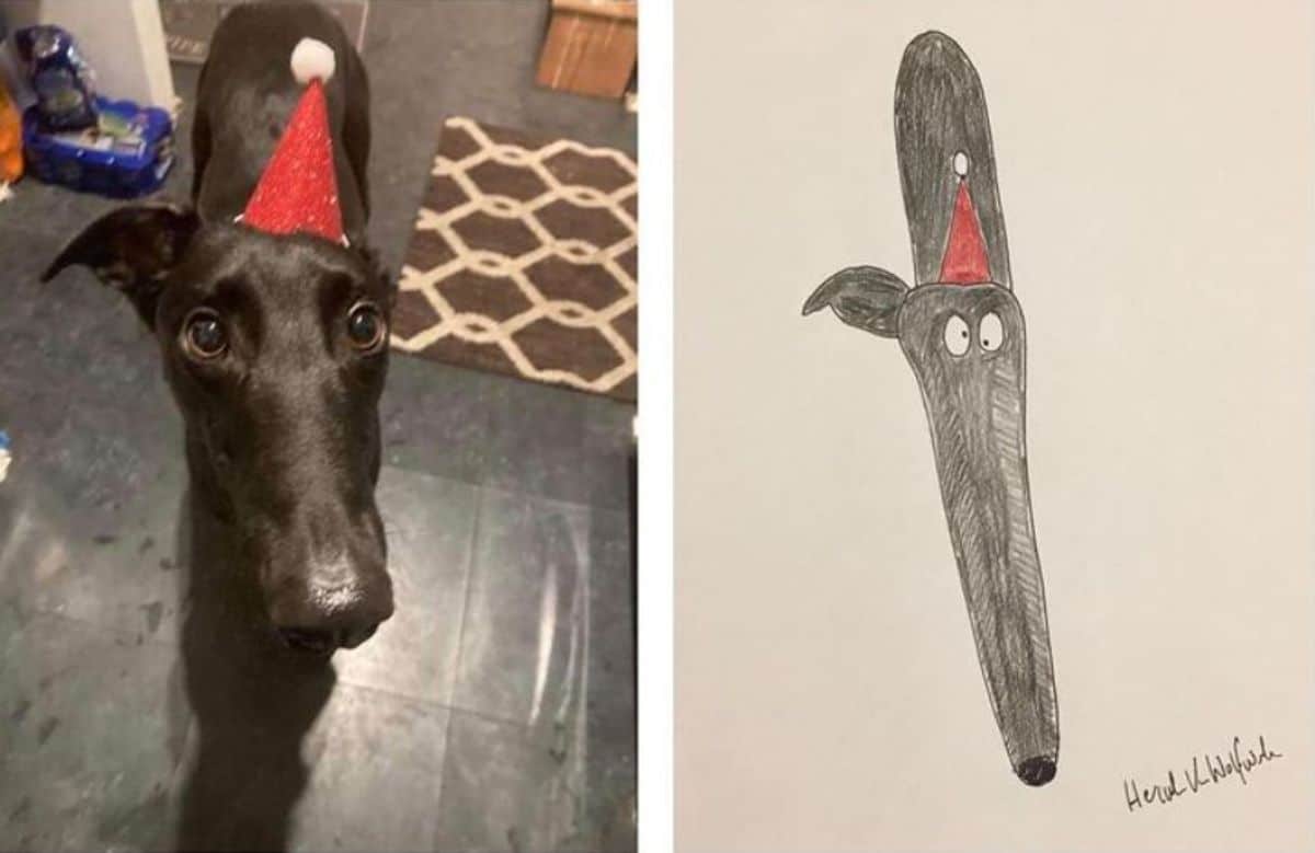 2 photo and cartoon images of a black dog wearing a red santa hat