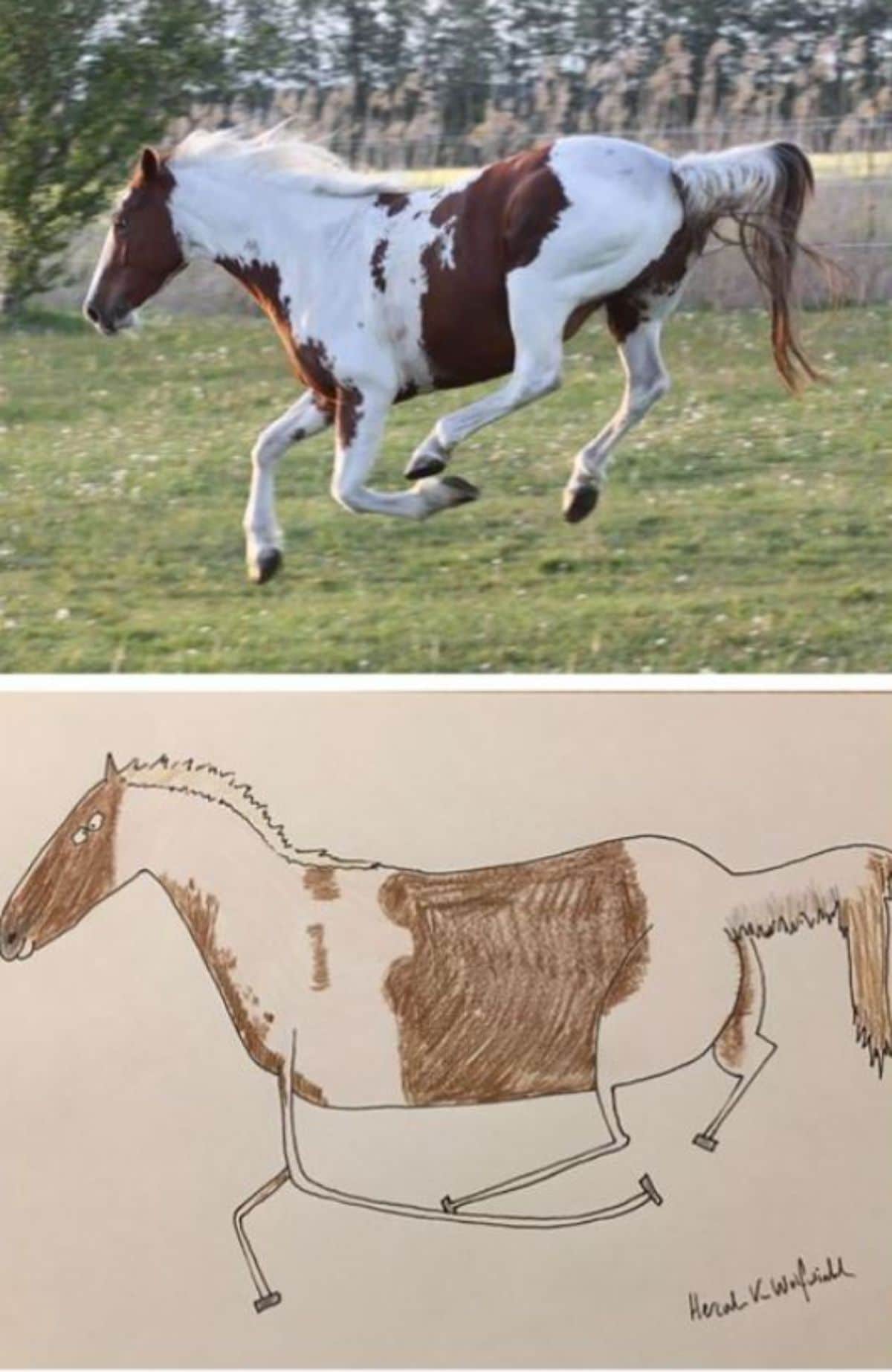 2 photo and cartoon images of a brown and white horse running