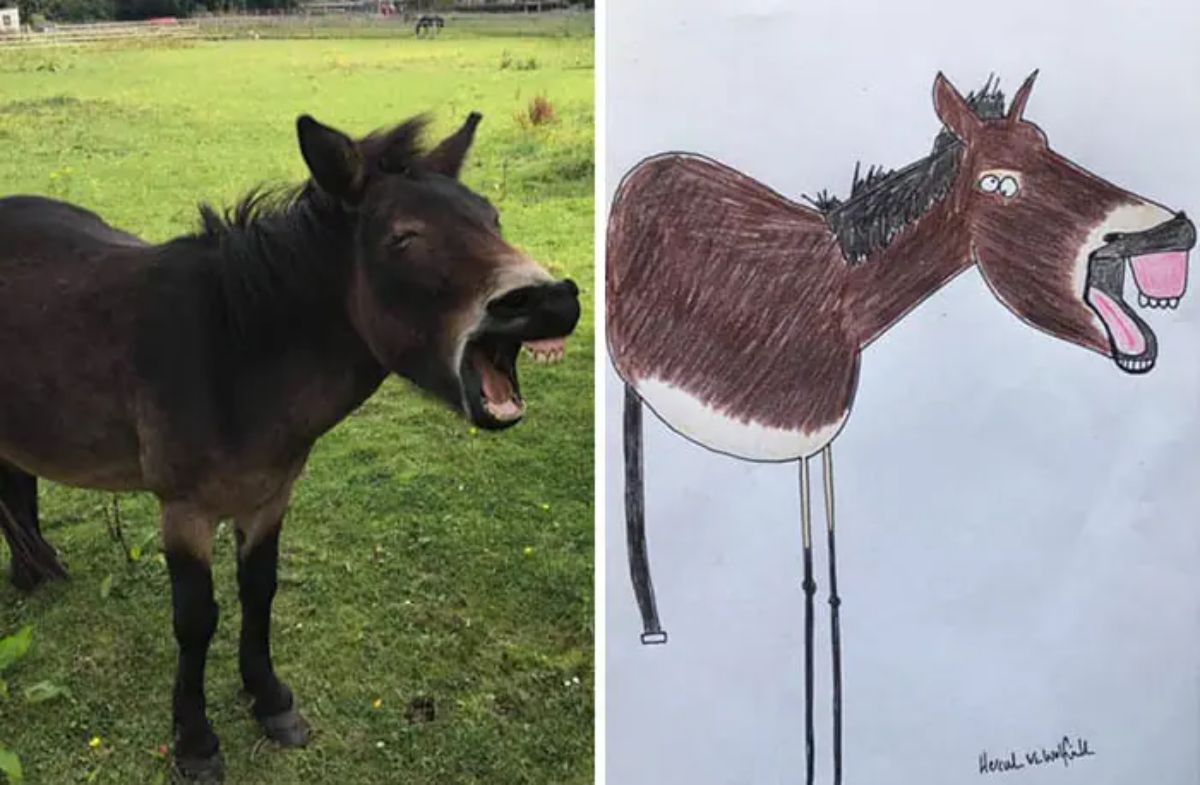 2 photo and cartoon images of a brown donkey with its mouth open
