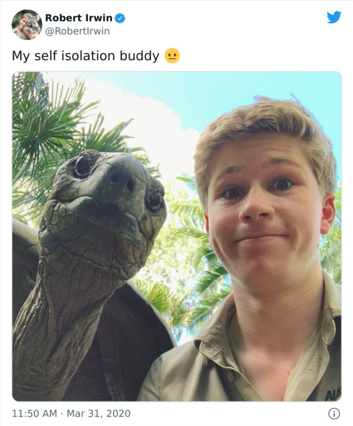 a tweet with a photo of a selfie of a tortoise and robert irwin