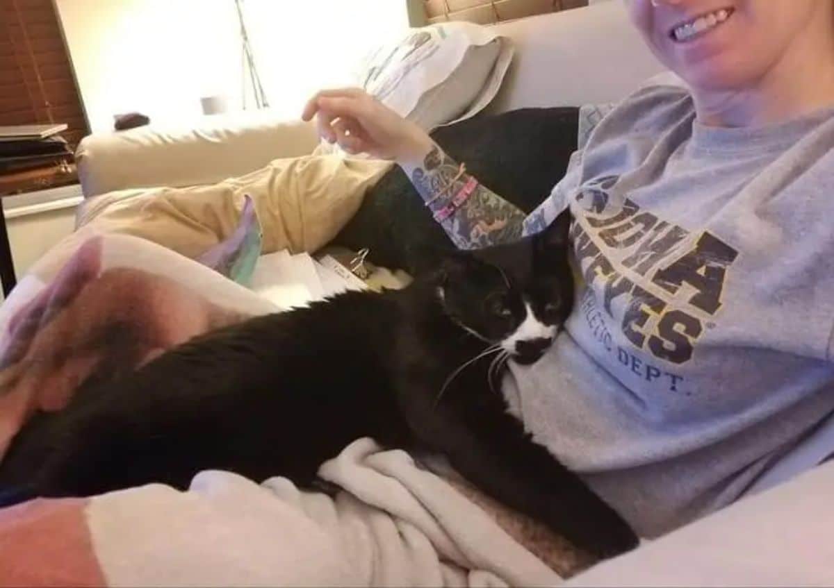 black and white cat laying on a person and hugging the stomach